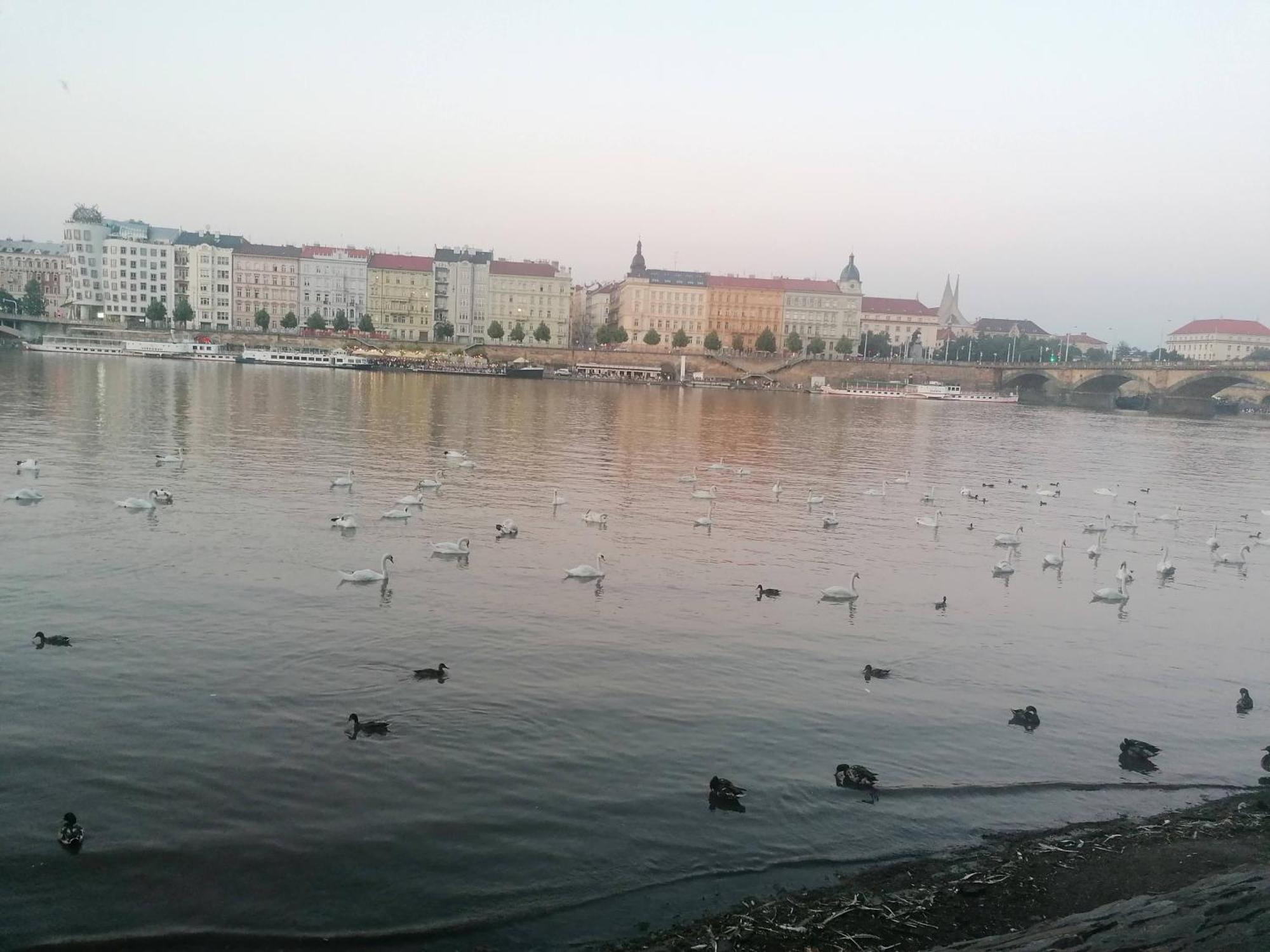 Апартаменты Valentinka Minutes Away From Charles Bridge Прага Экстерьер фото